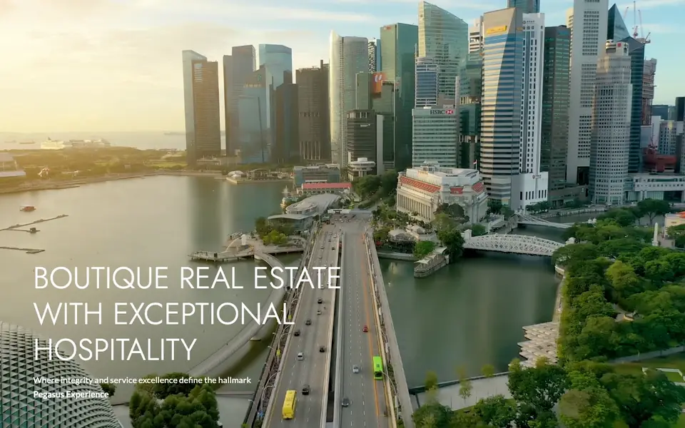 Pegasus Property Solutions website homepage, 4 Oct 2026