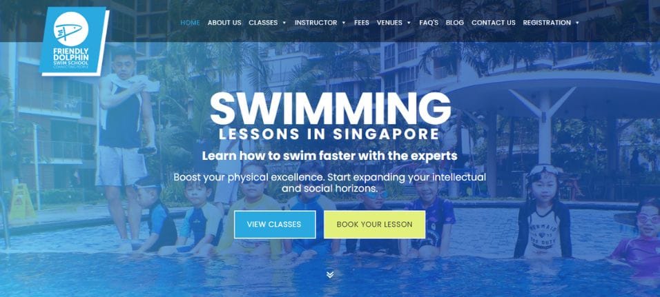 Friendly Dolphin Swim School